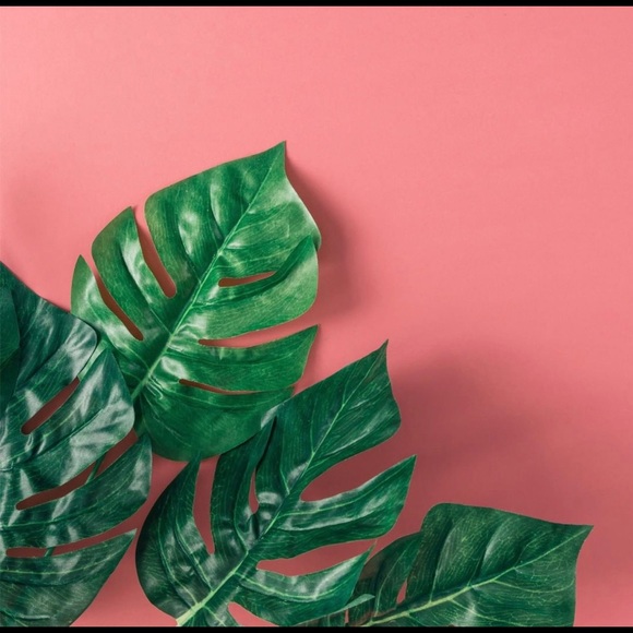 Meet your Posher, Kay - Picture 1 of 1